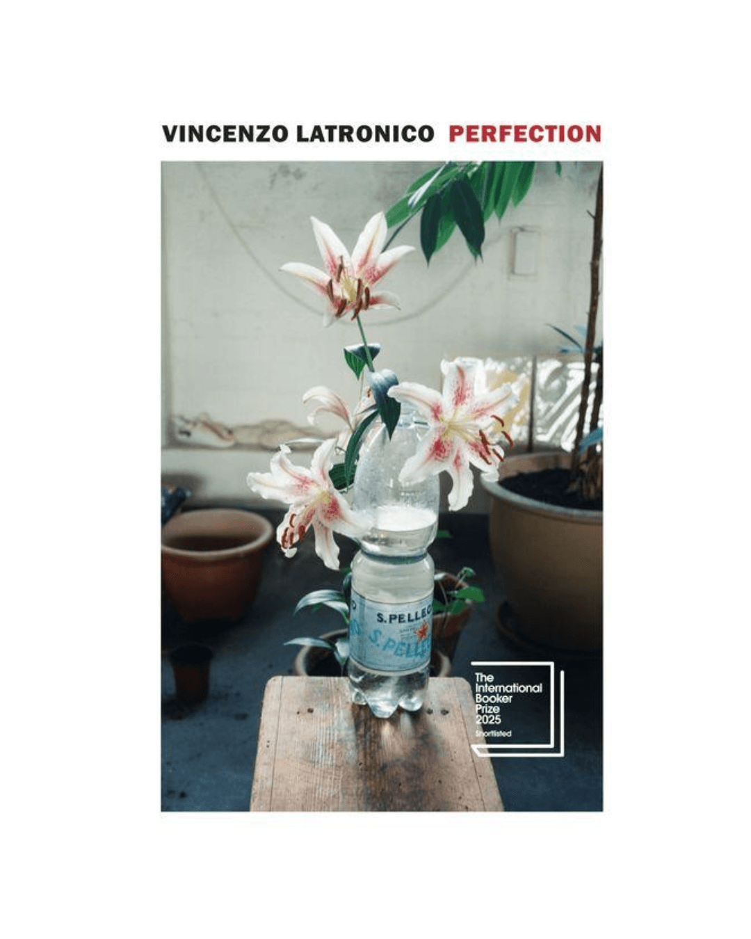 Perfection - Vincenzo Latronico (Book)